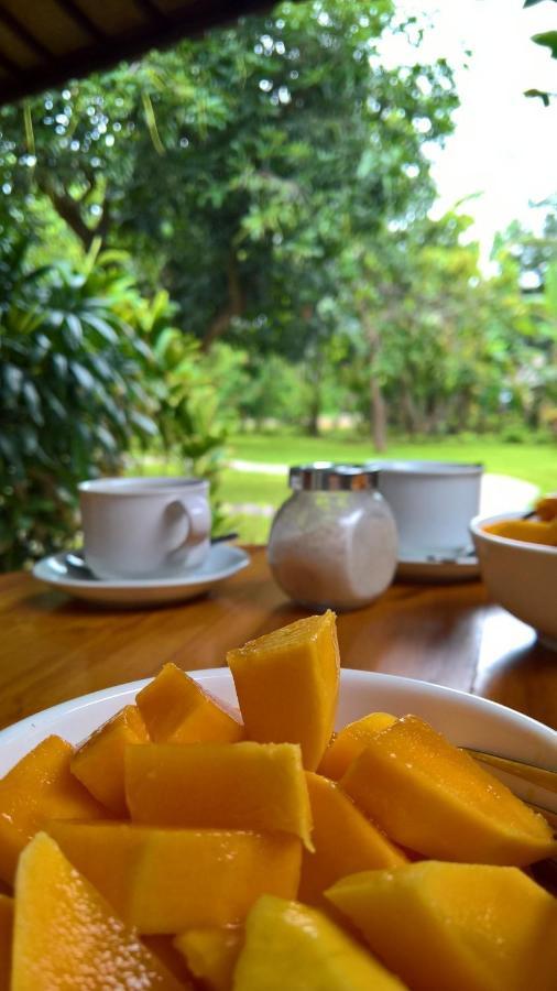 Mango Tree Inn Pemuteran  Ngoại thất bức ảnh